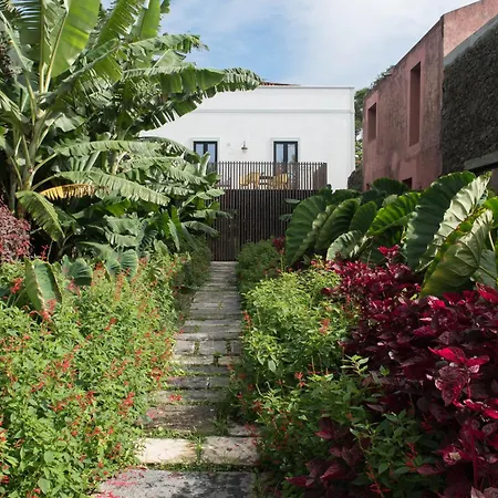 Green&houses Ponta Delgada