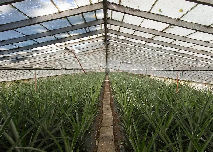 Green&houses 게스트하우스 4*