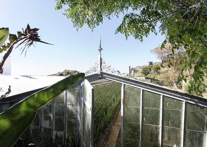 Green&houses Ponta Delgada