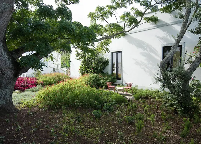 Green&houses 게스트하우스 Ponta Delgada