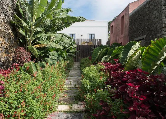 Green&houses Ponta Delgada