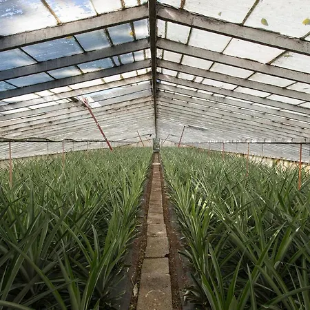 Green&houses Guest house 4*