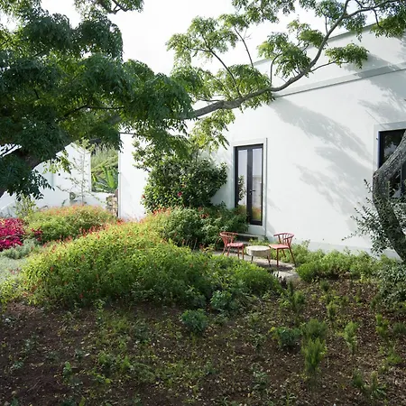 Green&houses Guest house Ponta Delgada (Sao Miguel)