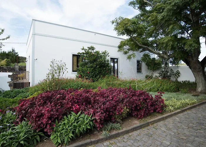 Guest house Green&houses Ponta Delgada (Sao Miguel)