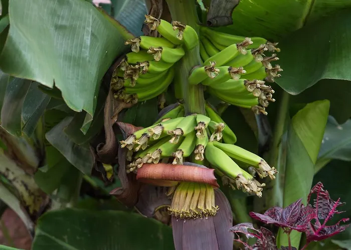 Gasthof Green&houses 4*